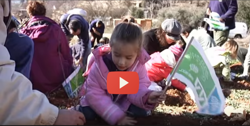 JNF – plants – 1200 – red