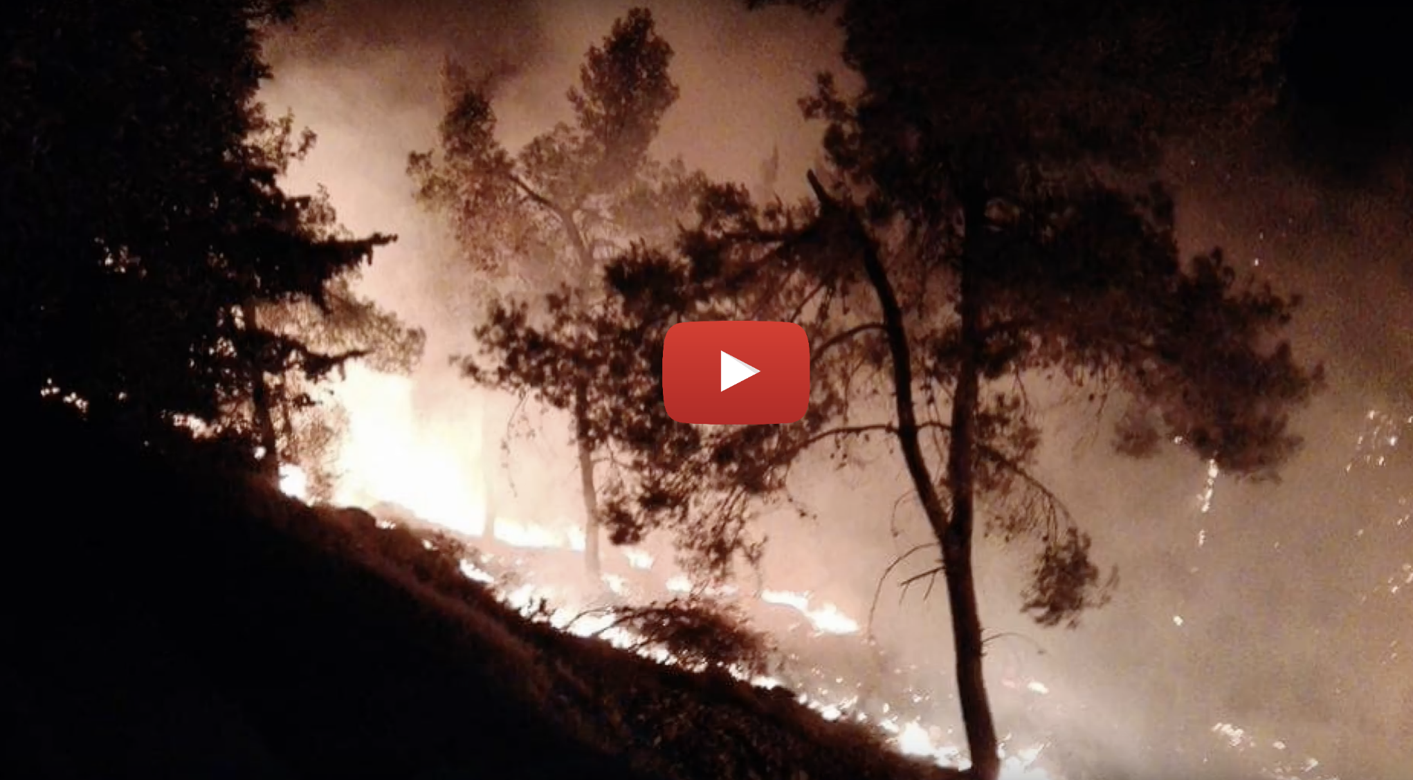 Gush Etzion Fire