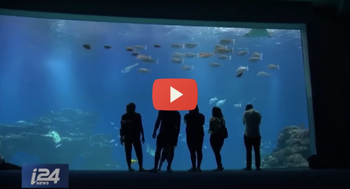 Israel-tourist-hotspot