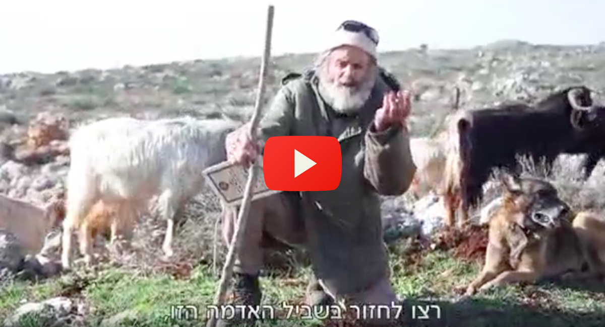 israel shepherd jewish standing