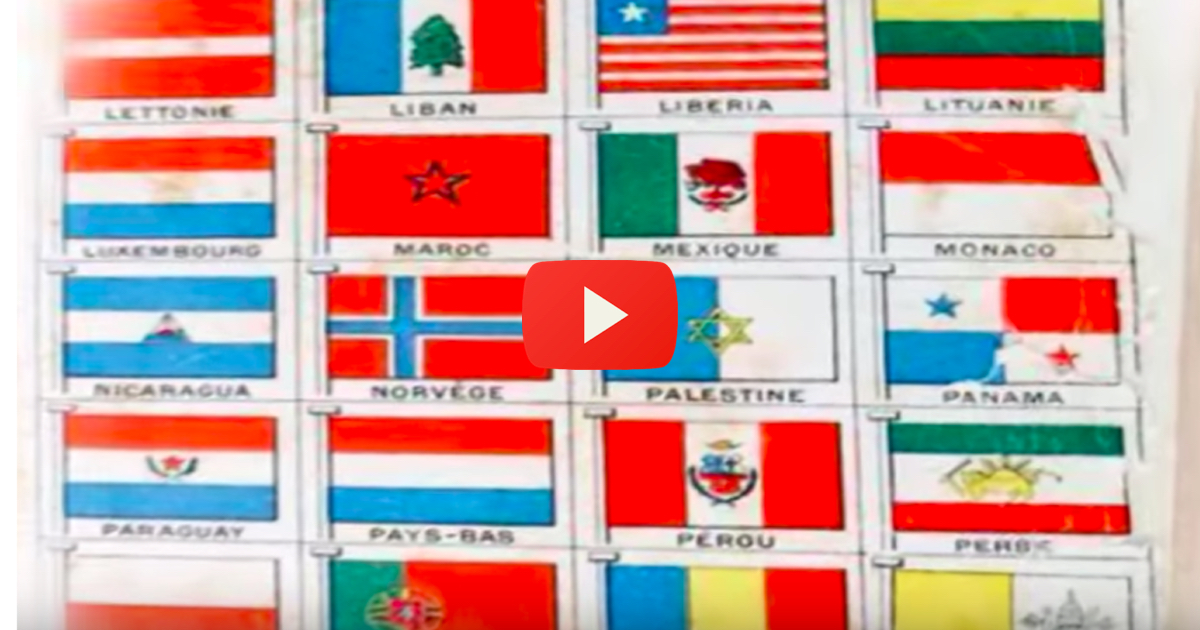 truth-palestinians-sarsour