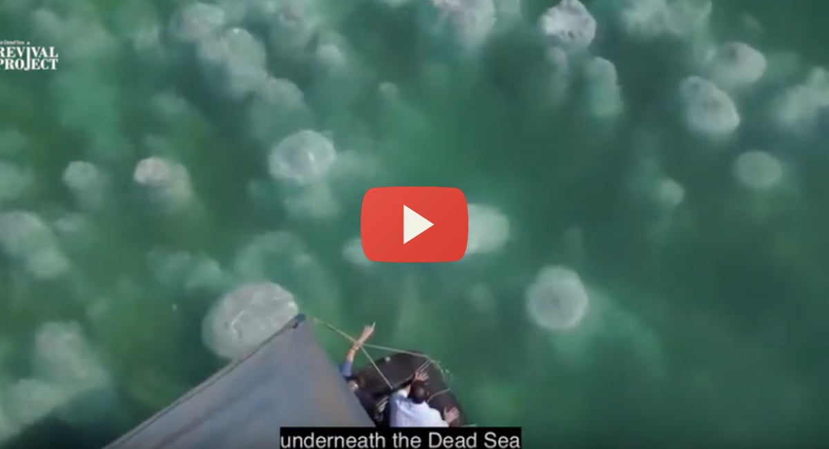 life-dead-sea