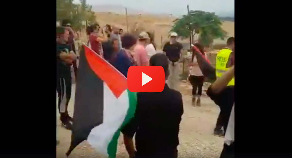 Anti-Israel-activists