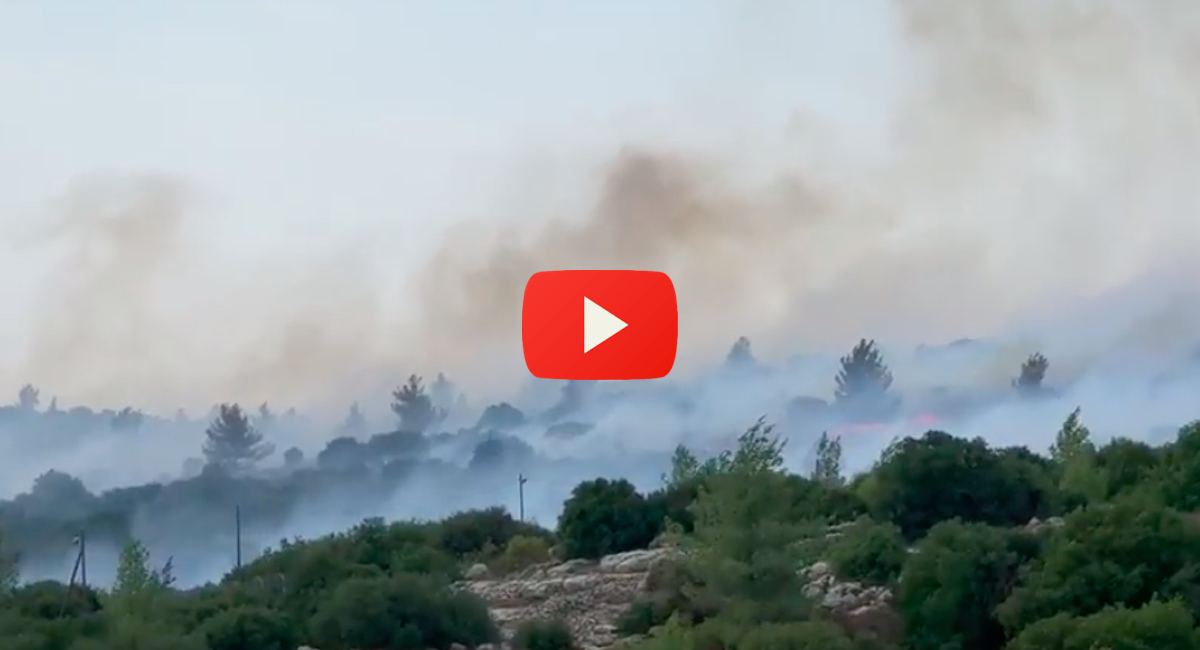Israeli-firefighters