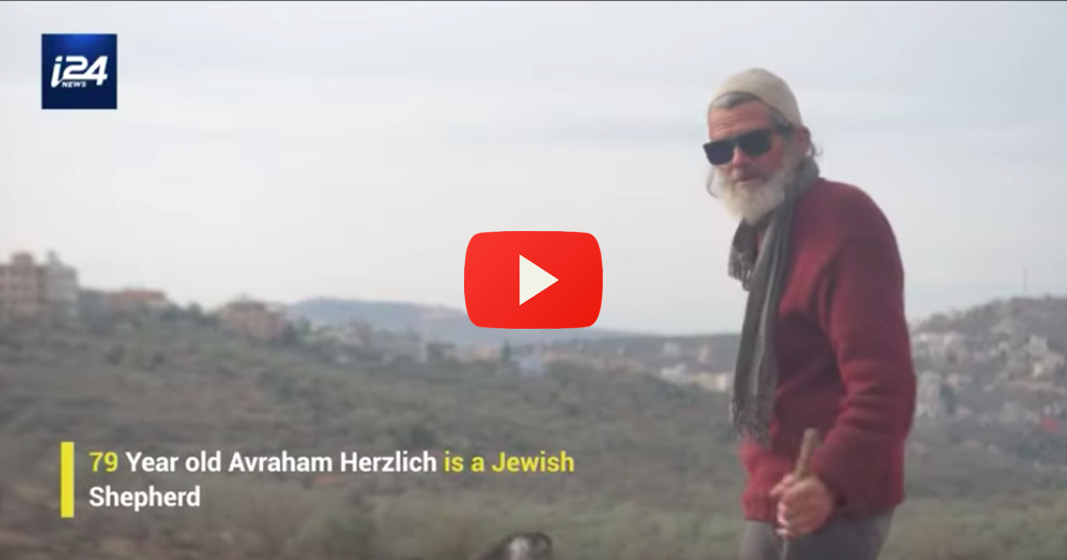 man-shepherd-israel