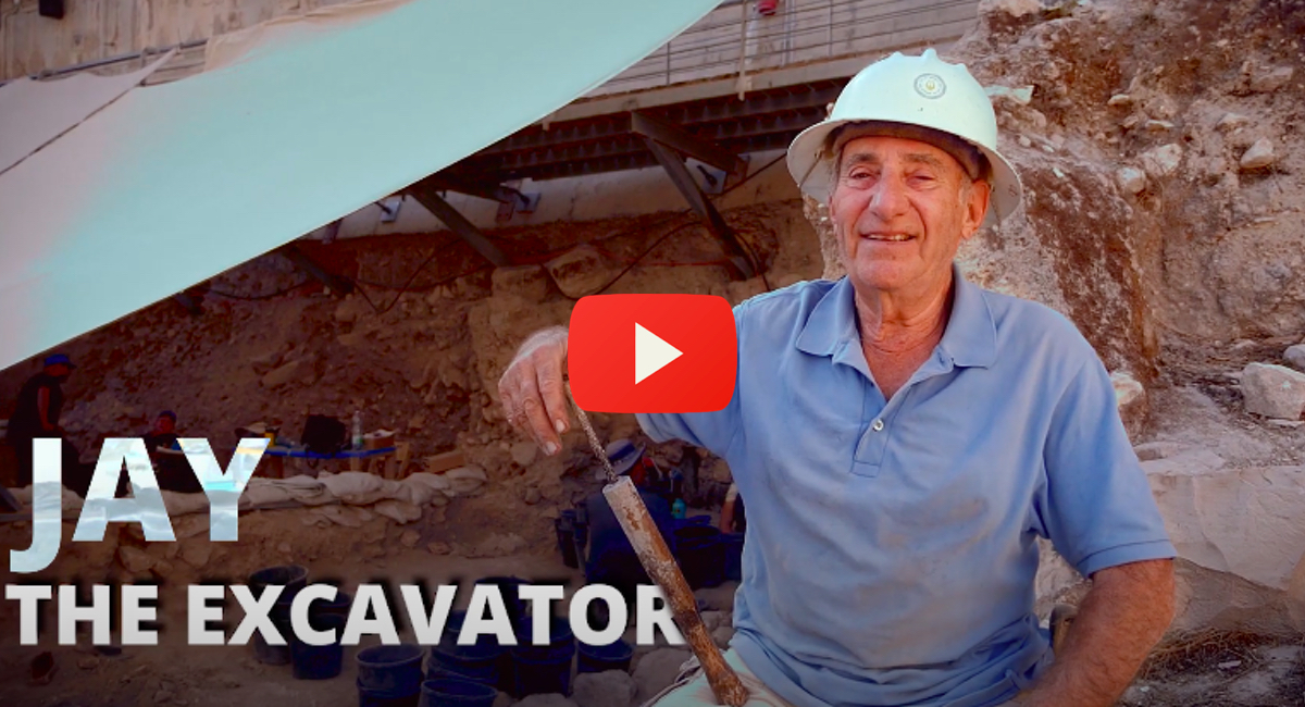 city-david-excavator