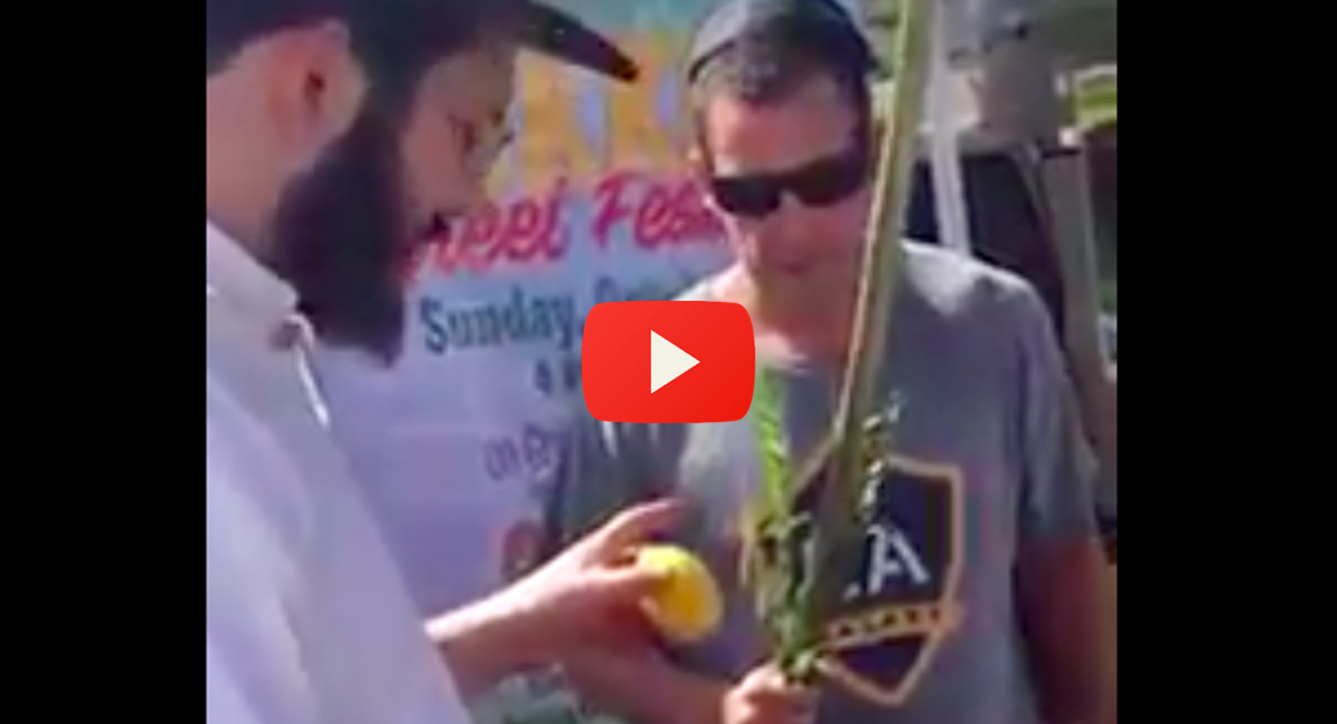 adam-sandler-sukkot