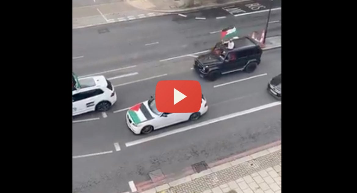 Pro-Palestine-antisemitic