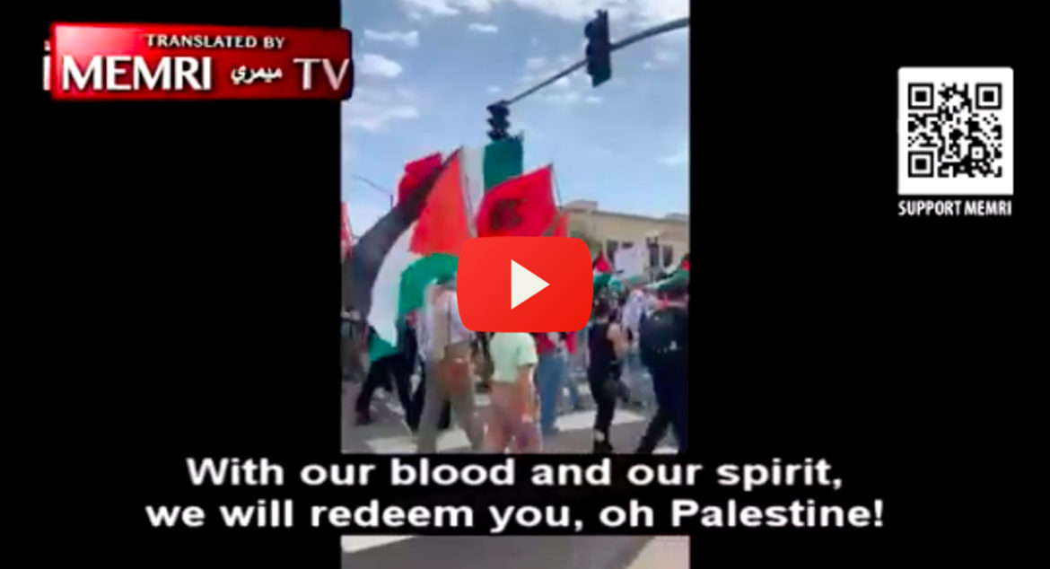 Pro-Palestinian-Protesters