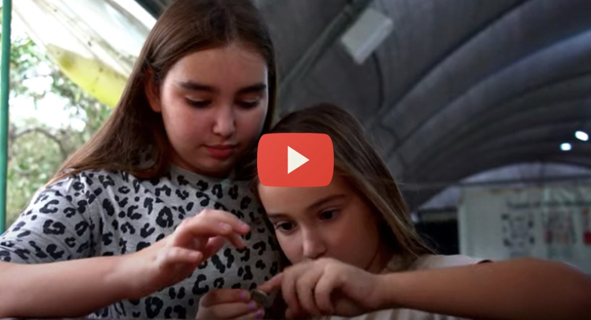 11-year-old-coin