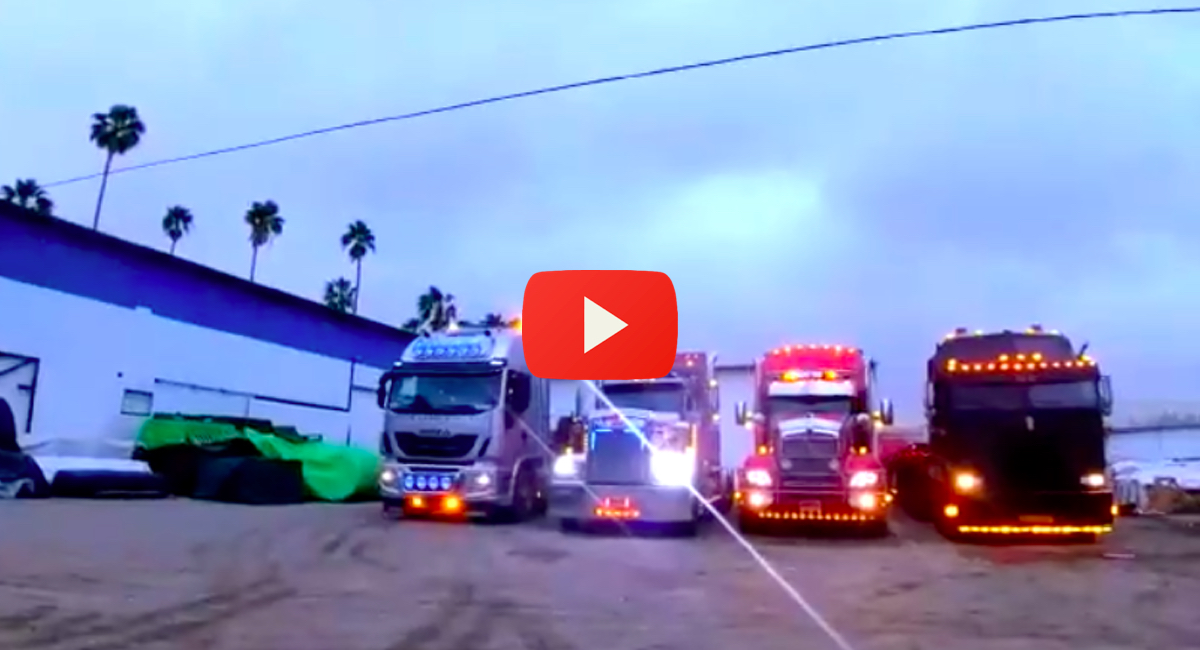 Yes!!! #Israel will be joining the Canadian truckers freedom convoy too!!!truckers from all over the...