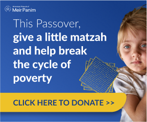 2022 MP Passover 300X250