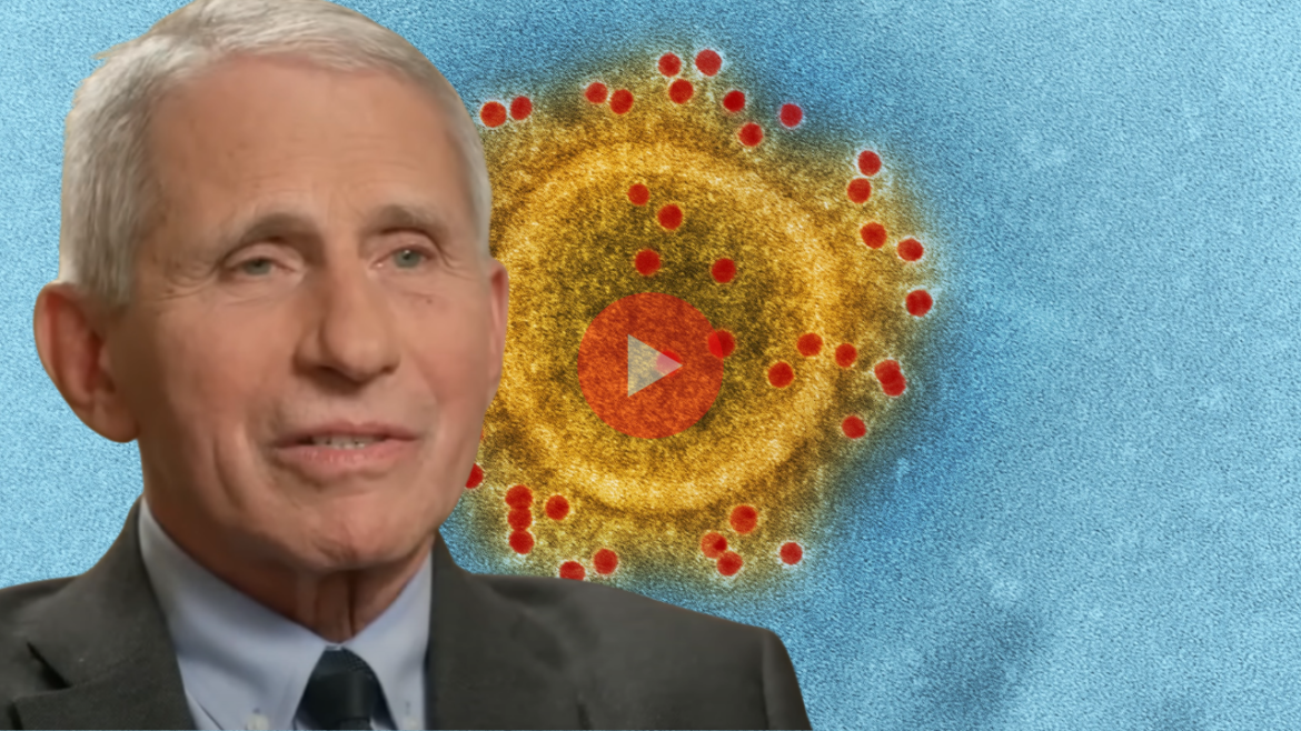 fauci-coverup