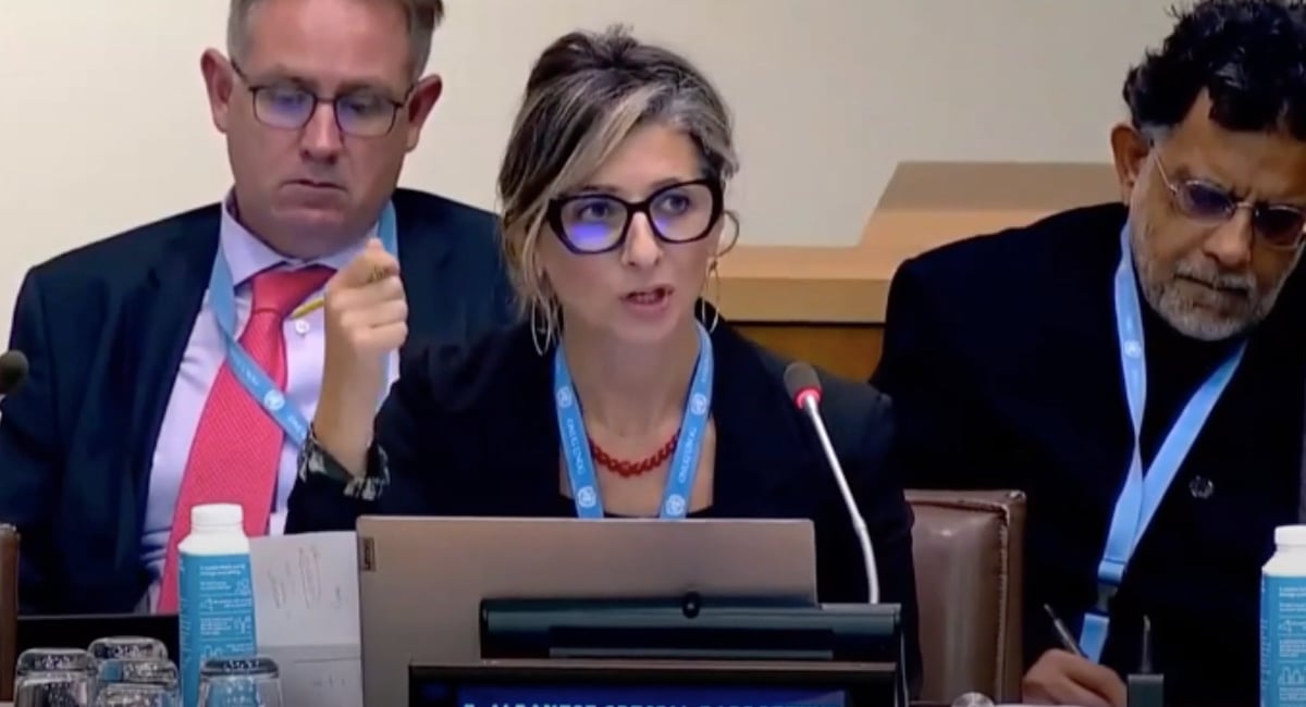 Lawyer group calls for UN to fire ‘special rapporteur’ Francesca Albanese