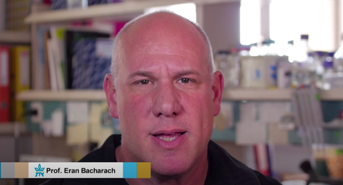 israeli-discovery-diseases