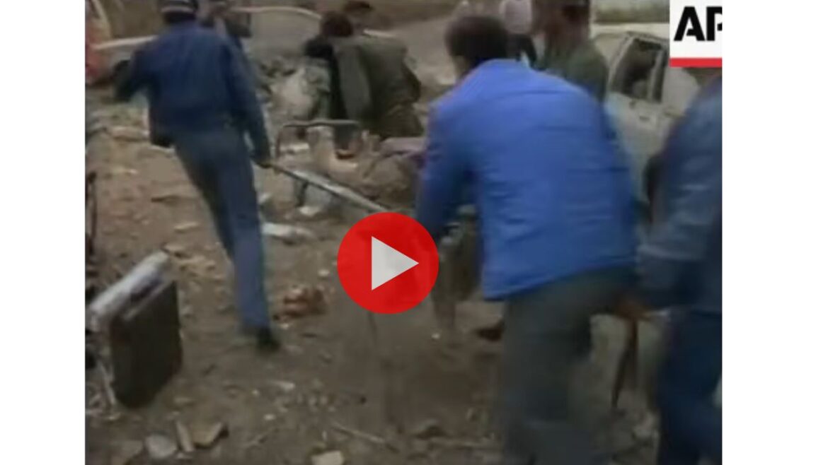 Untitled design (19)