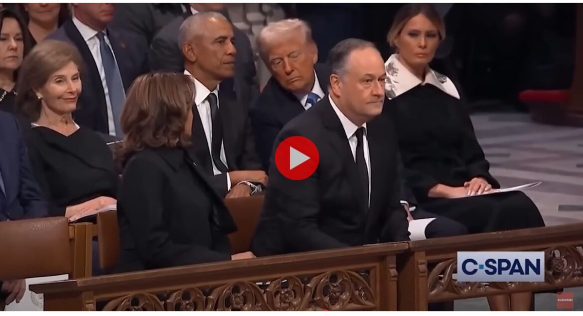 Untitled design (78)