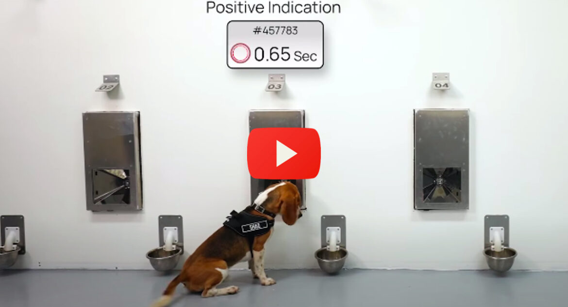 israeli-researchers-cancer