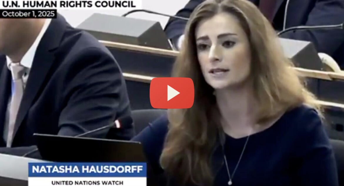 pro-israel-law-expert
